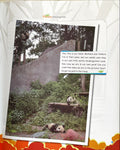 panda's Kindergarten